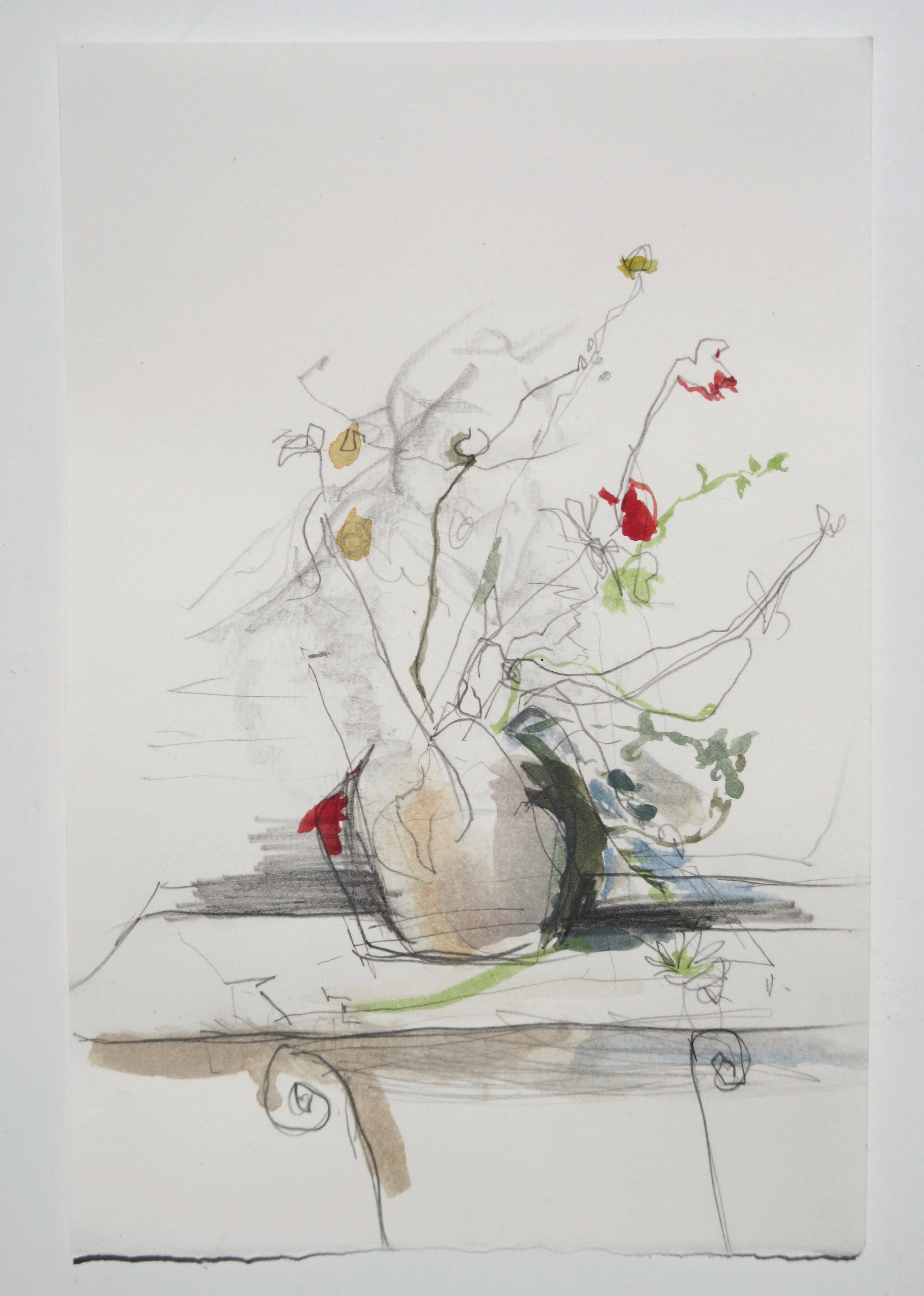 Scrawly Bunch, sketch 2017